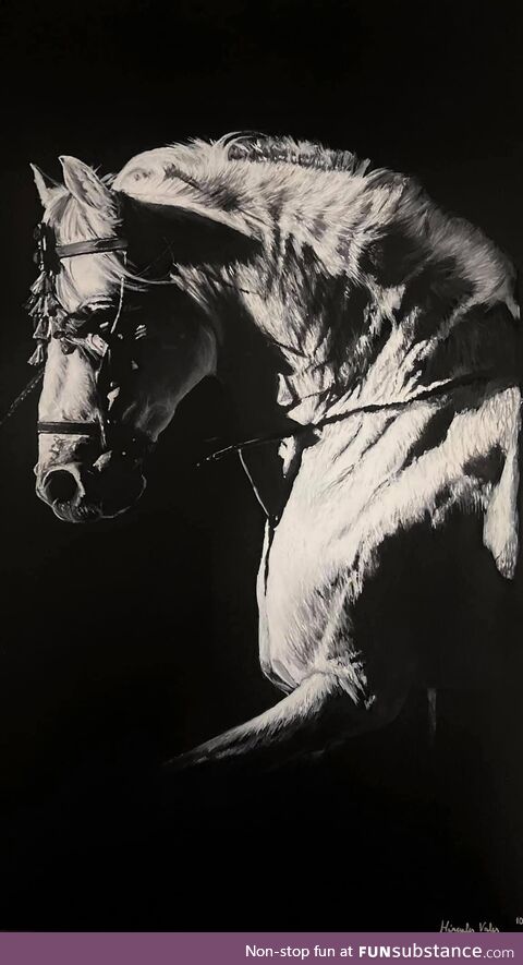 Realistic painting, white on black. White Andalusian