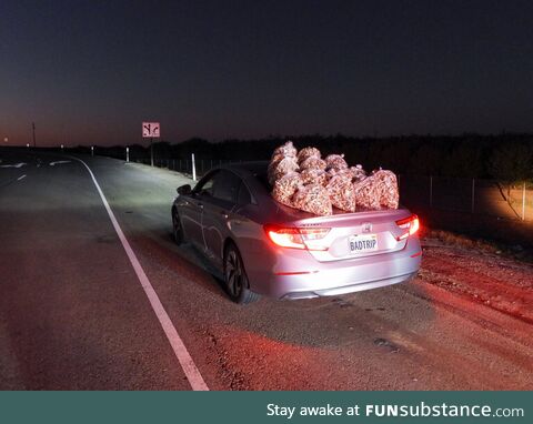 Busted for 30lbs of magic mushrooms. That vanity license plate though