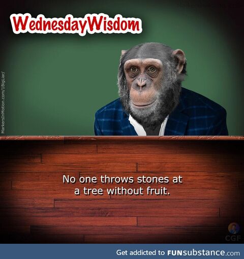 Wednesday with Barry Bigliar