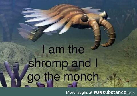 Take his advice be the shromp