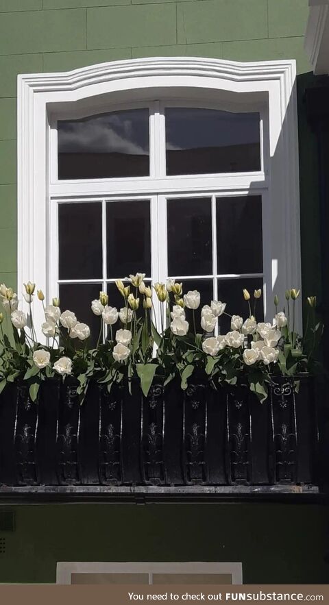 [OC] A pretty windowsill in Notting Hill