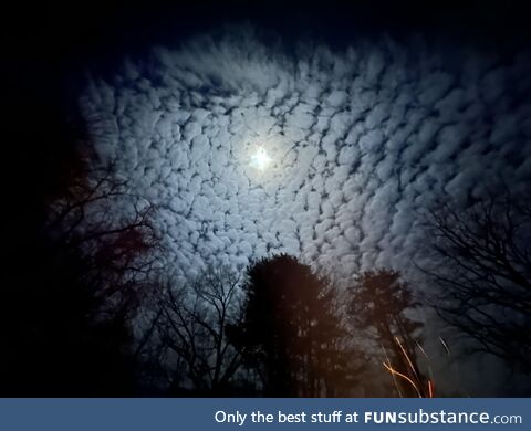 The night sky last week in upstate NY