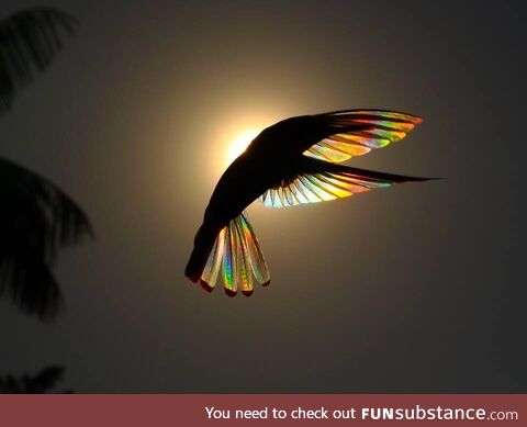 The beauty of nature