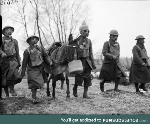 Group of indian soldiers arrive in france with gas masks and a mule