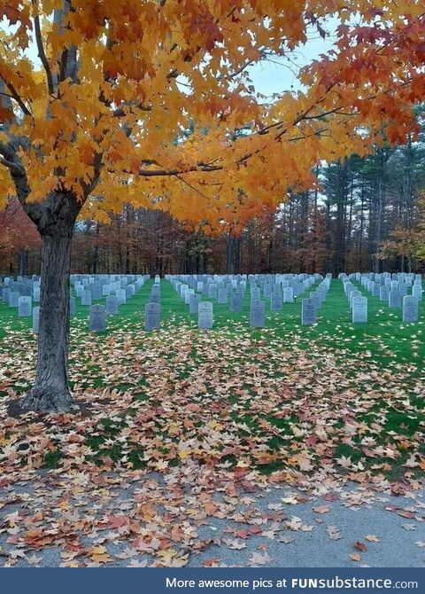 A photo of cemetery looks like 2 images stitched together