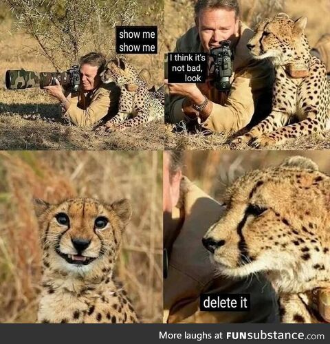 Make a stop