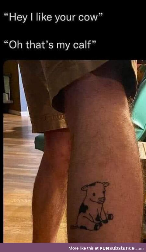 Calf for a laugh