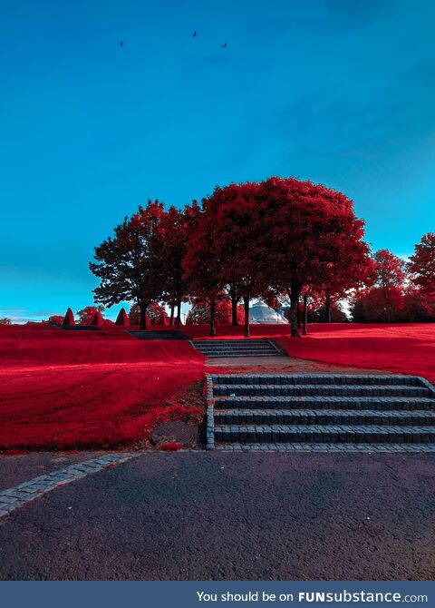 A simple shot from today