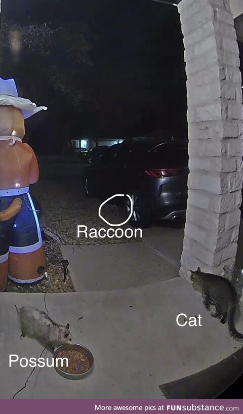 Typical Saturday night in Texas