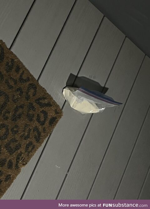 I left a bag of kitten formula on my porch for another foster to pick up and I realized