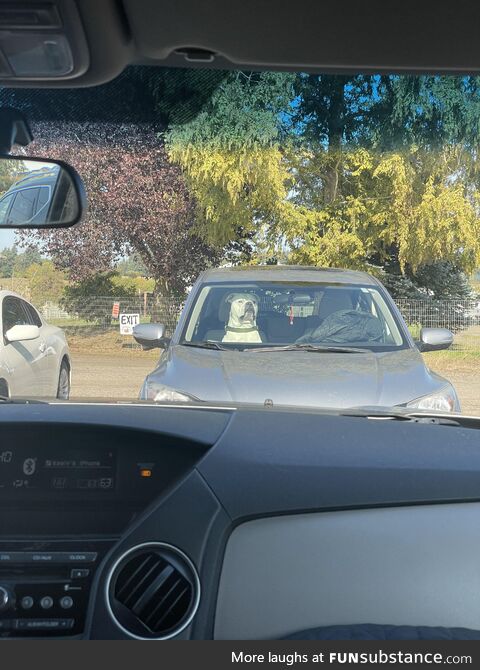 Who’s going to tell him he’s double parked