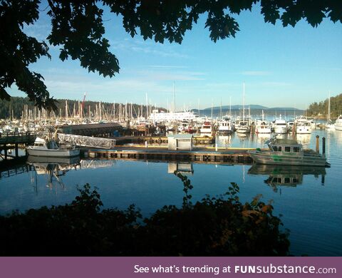 Friday harbor, san juan island, wa