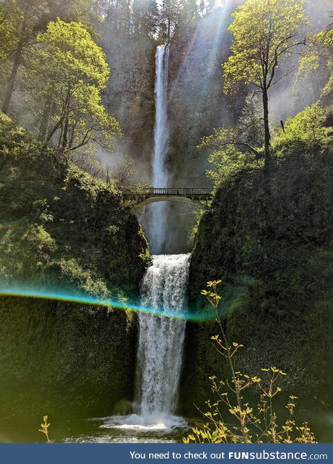 Multnomah falls