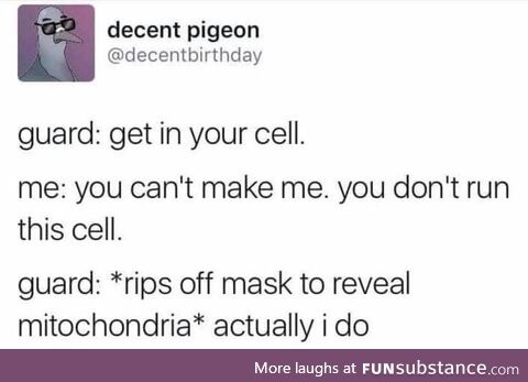 Dammit