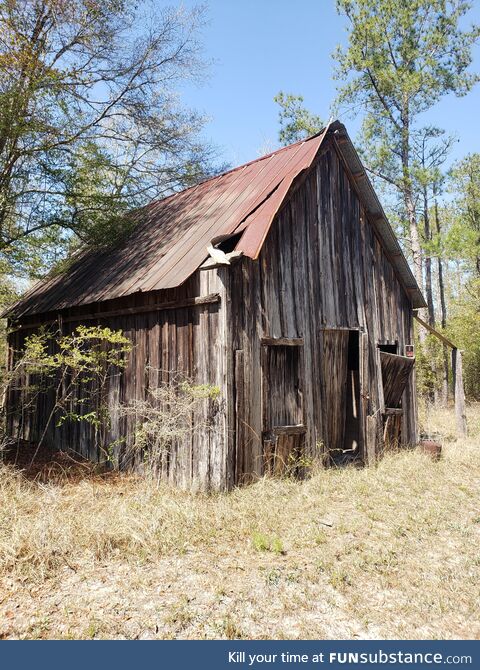 Found this old building while biking around nw florida