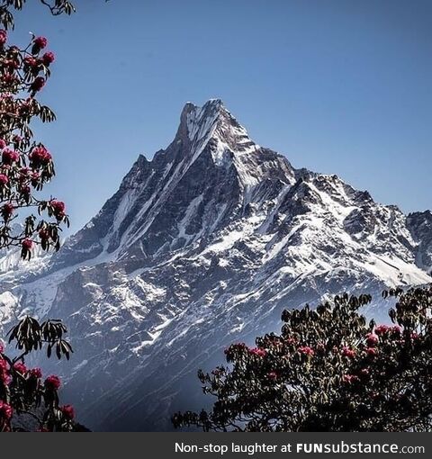 Machhapuchhare Himal views from Tadapani