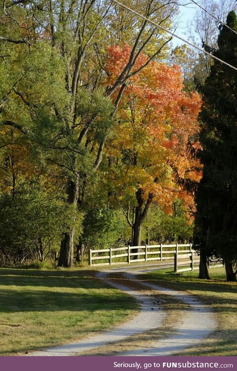 Fall is in the air