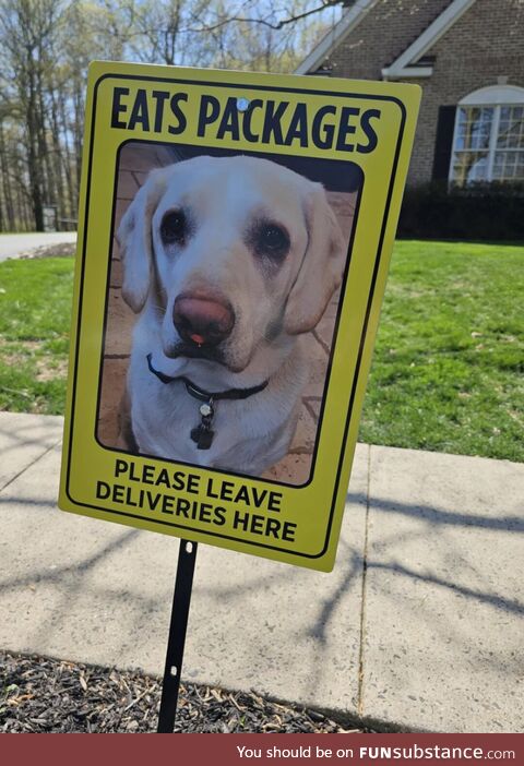 Why did they do the dog like this