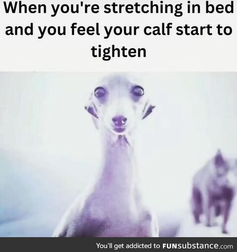 High absorbed elderly