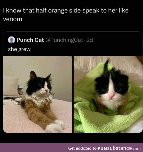 She has a shirt