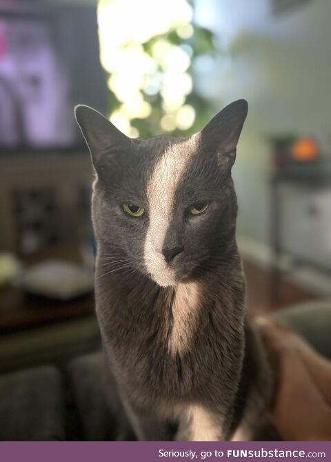 Right before dinner time [OC]