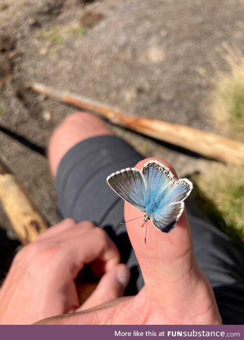 Met this cute little friend in the middle of the mountains