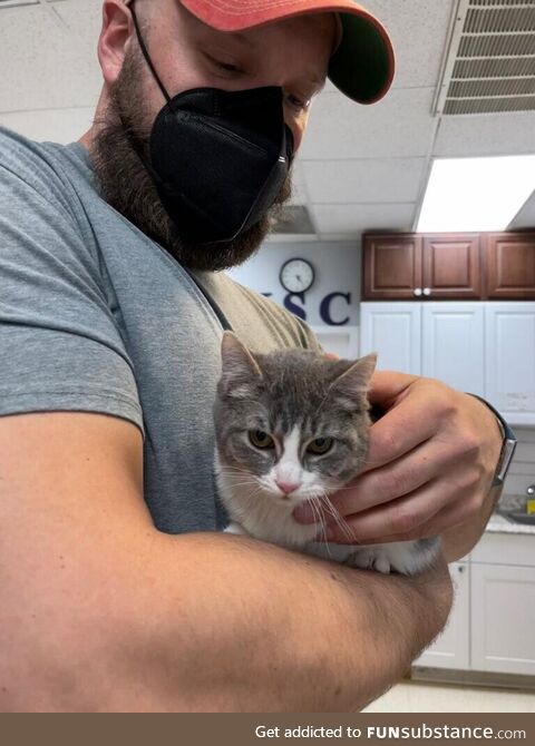 [OC] Tumbles is our new 7 month old CH kitty. She came into the shelter a month or so ago