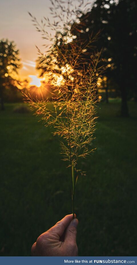 Good morning from Michigan
