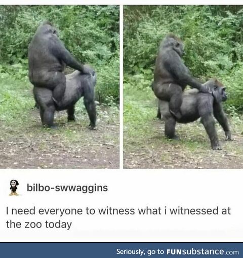 That's called riding, alright!