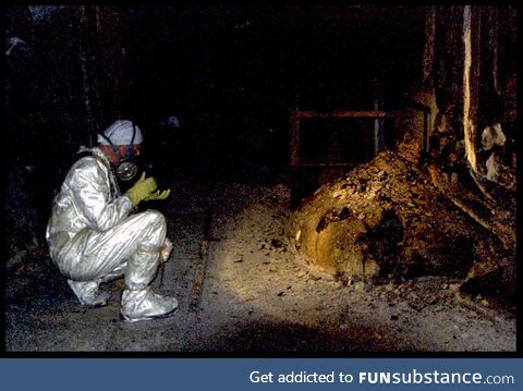 A man with little protection face to face with the infamous Chernobyl elephants foot