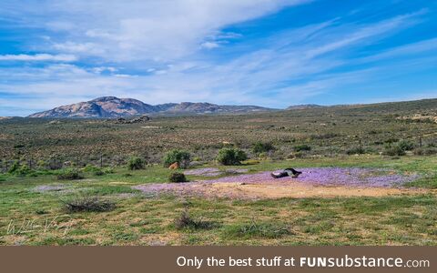 Northern cape landscape, south africa