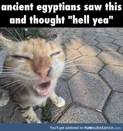 Odd short-lived alarmed