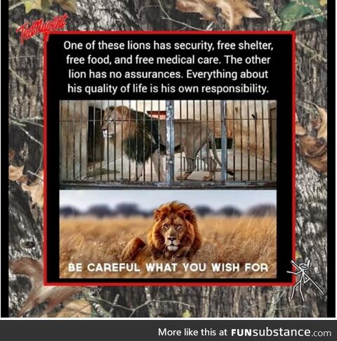 Something to think about