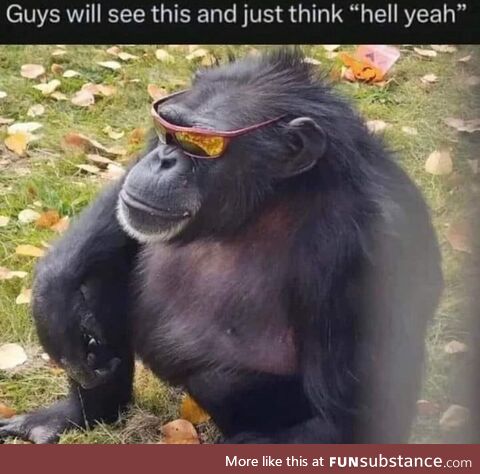 Guys will see this and think hell yeah