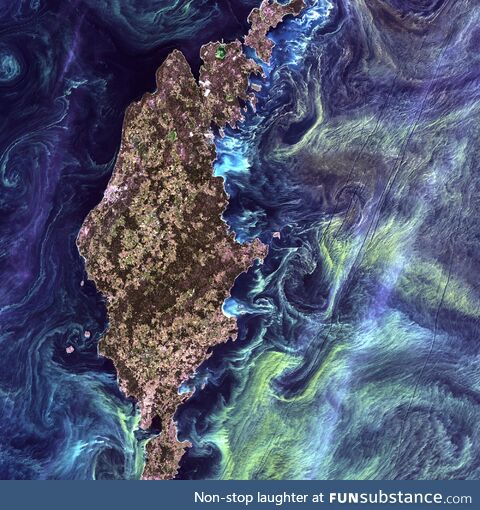 Gotland, Sweden, looks like van Gogh's "Starry night" from space