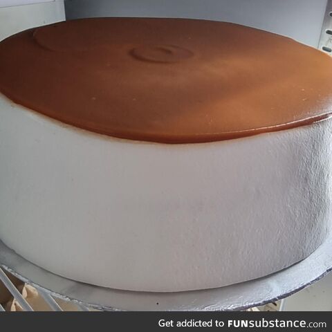 [OC] this near perfect cake at a local cafe