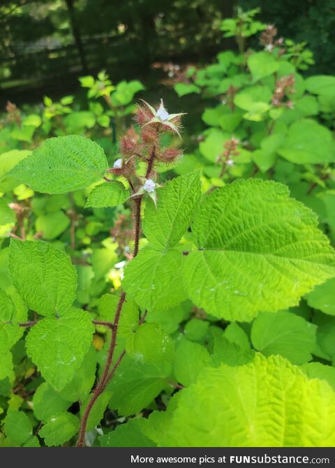 Update / correction (more info in comments)