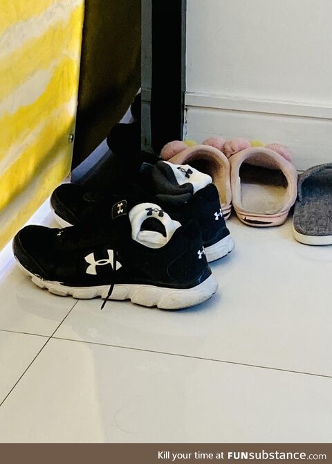 Sock is angry for being left in a smelly shoe