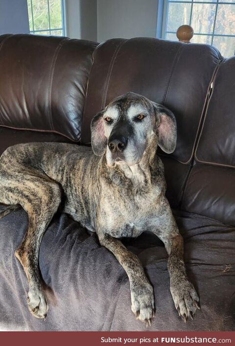 Hercules knows the answer to the question you haven't asked yet