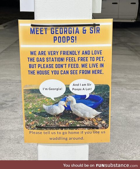Spotted at a local gas station