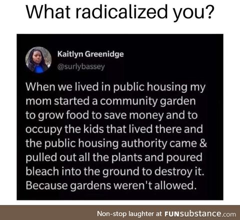 Blooded rapid-fire big