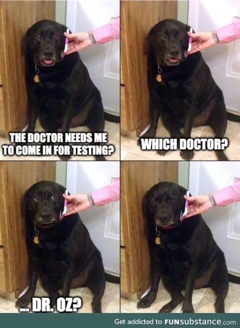 *cries in dog*