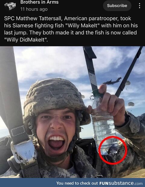 Wojak looking ass