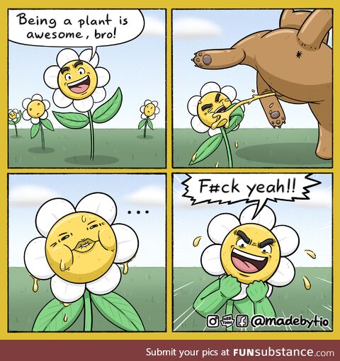 Plant life in a nutshell