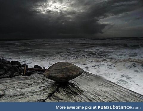 The clam before the storm