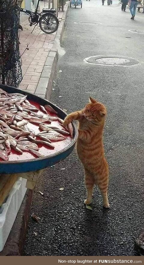 Cute thief
