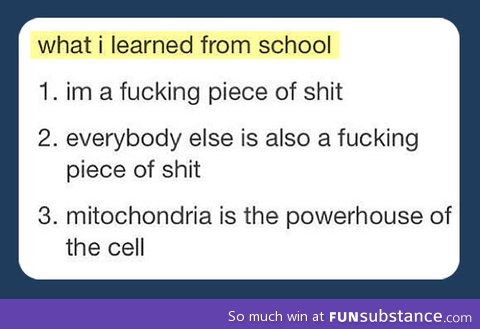 What I learned from school