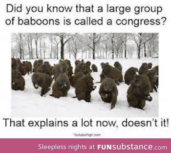 Definition of a congress