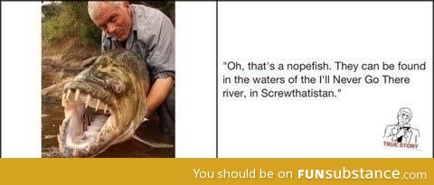 Nope fish