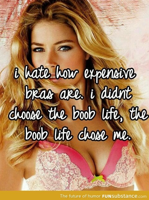 Bras are expensive